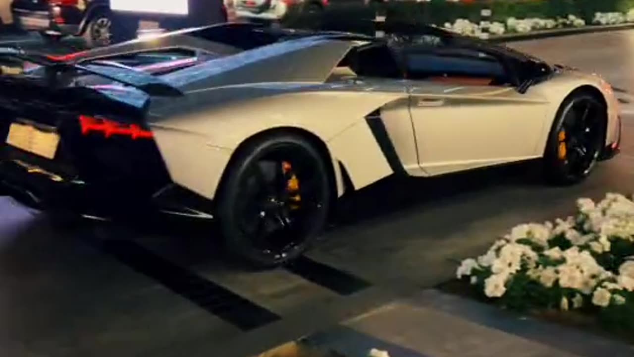 🏎️💨 This Hypercar's Performance is PURE Power! | LuxurySportsCars