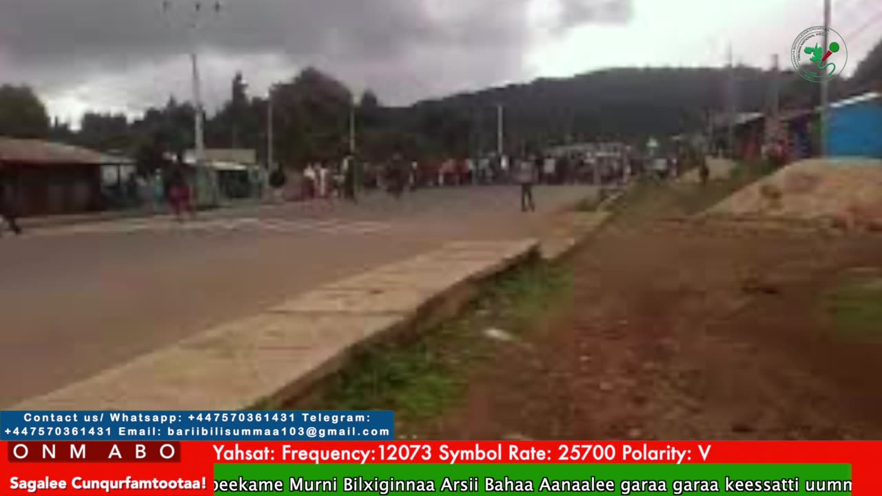 Oduu Ganama ONM-ABO Adoolessa 15-2025 itti dhiyaadhaa!