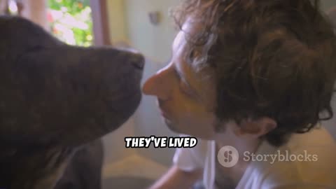 Heartbreaking to Hope: Rescuing Alabama's Most Vulnerable Shelter Dogs