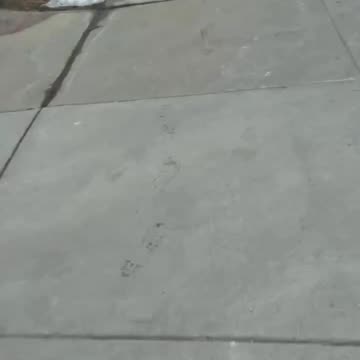 Teens in Detroit posted their crimes to social media