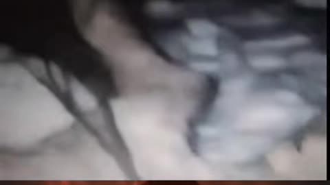 😱👻 The Scariest Ghost Encounter Ever! | TheHauntingHour