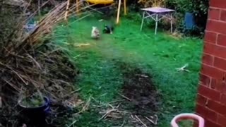 MUST watch to the end