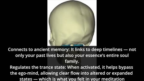 The Sentinels and The Guardians: What is that center in back of the head?