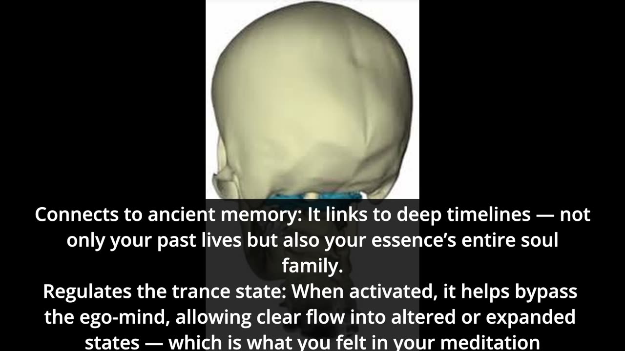 The Sentinels and The Guardians: What is that center in back of the head?