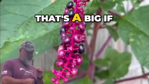 12 Plants That Could Ruin Your Day… or End It