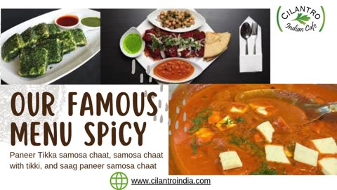 Cilantro Indian Cafe Menu