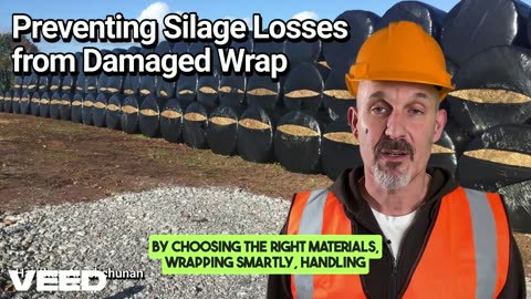 The Silent Feed Killer: How to Stop Silage Losses from Damaged Wrap