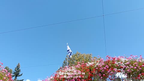 Cat ne vom mai numi Romania?