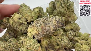 Is Peach Z Runtz from Shop Hello Mary fire? Dankin with the Flamingos Review!!