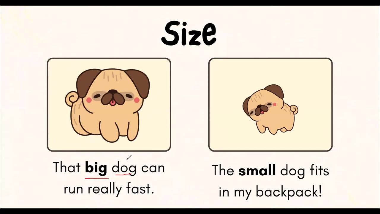 Describing people