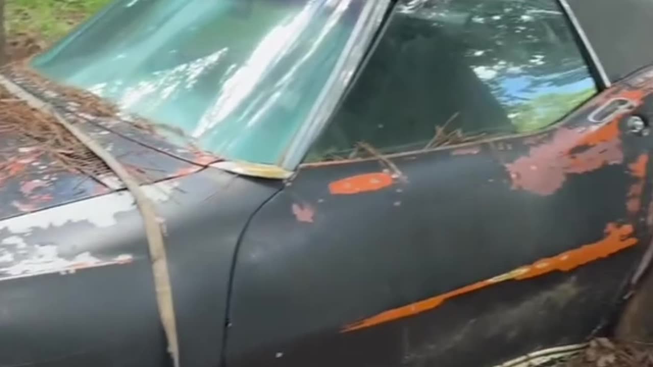 Ultra Rare 427 carvette