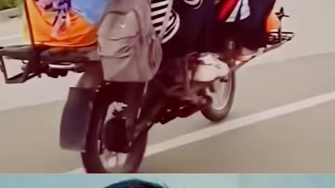 Funny shorts viral animal video
