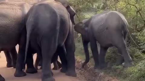 A stumble, a fall, and then a circle of protection.