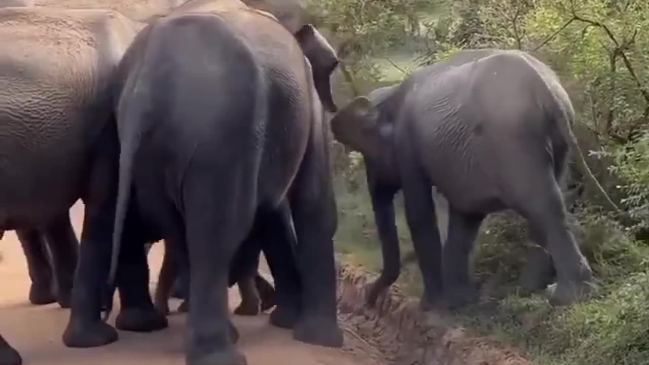 A stumble, a fall, and then a circle of protection.