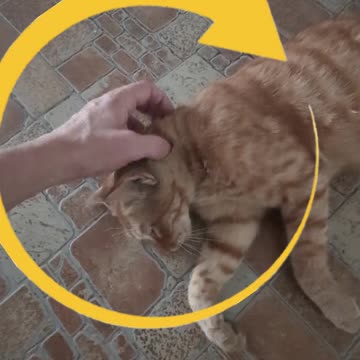 I'm getting tearful at the thought of leaving Suvi...