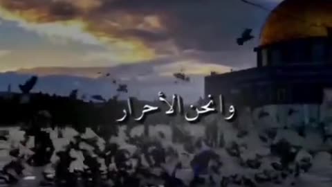 فلسطين حره