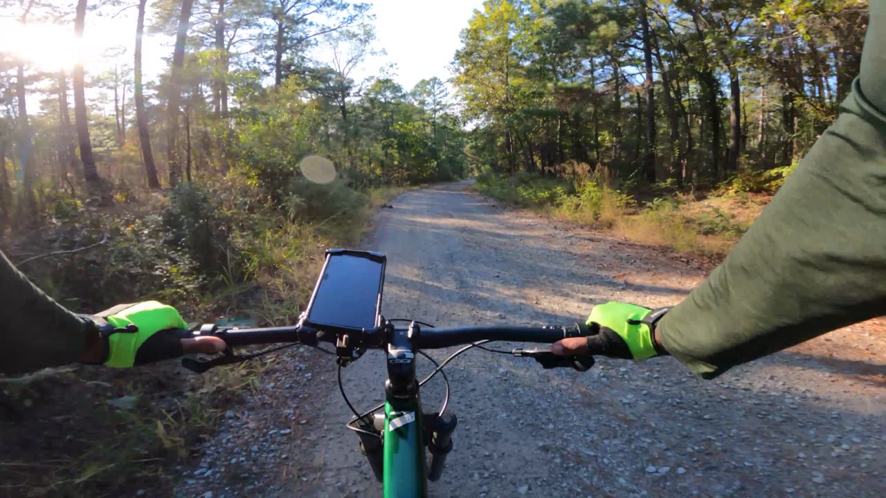 Downhill Lost In The Woods - 8