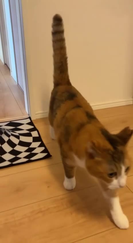 @Funny Scary thing 😱