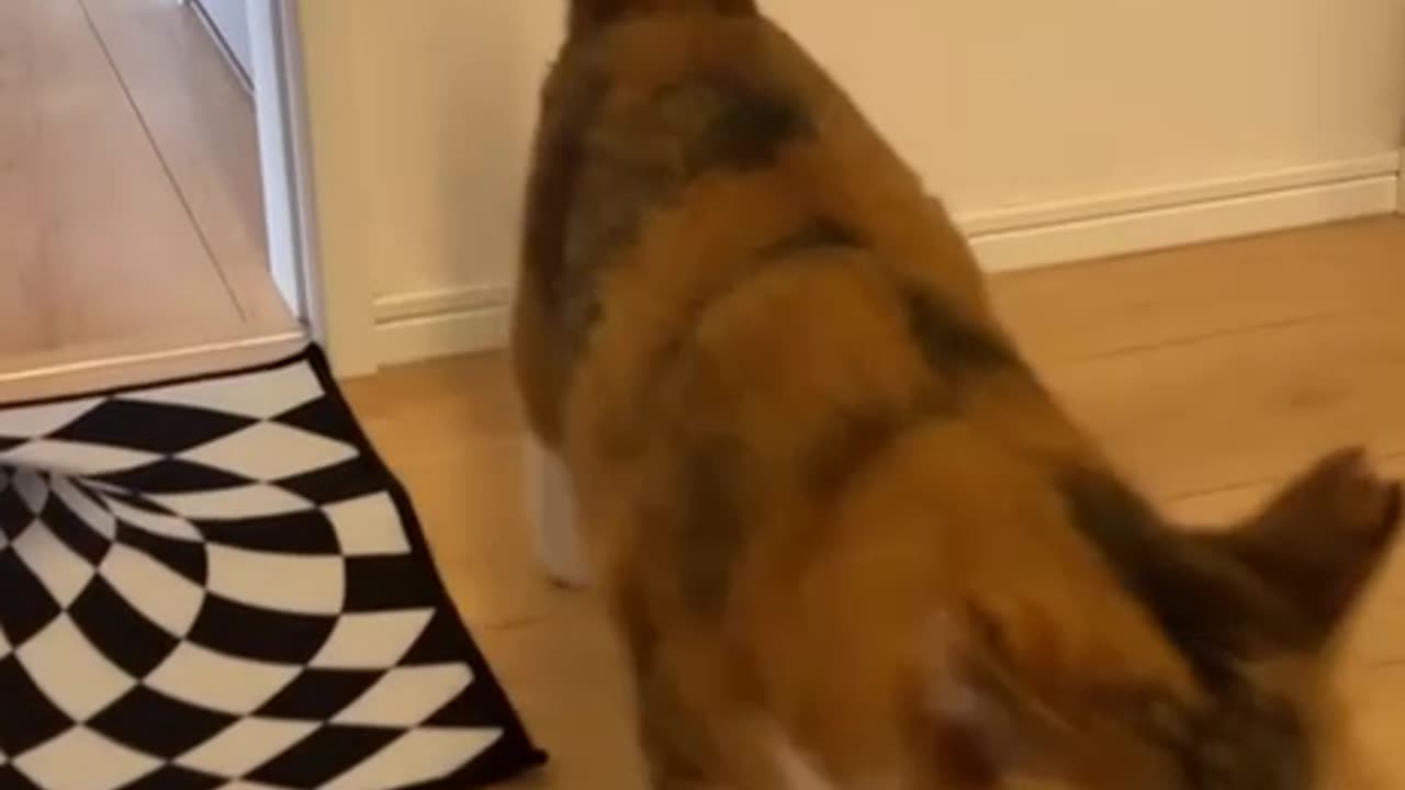 @Funny Scary thing 😱