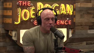 Psilocybin Freedom Movement Grows - Paul Stamets on Joe Rogan #consciousness #psilocybin #mushrooms