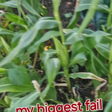 My biggest fail this year 🤦‍♂️