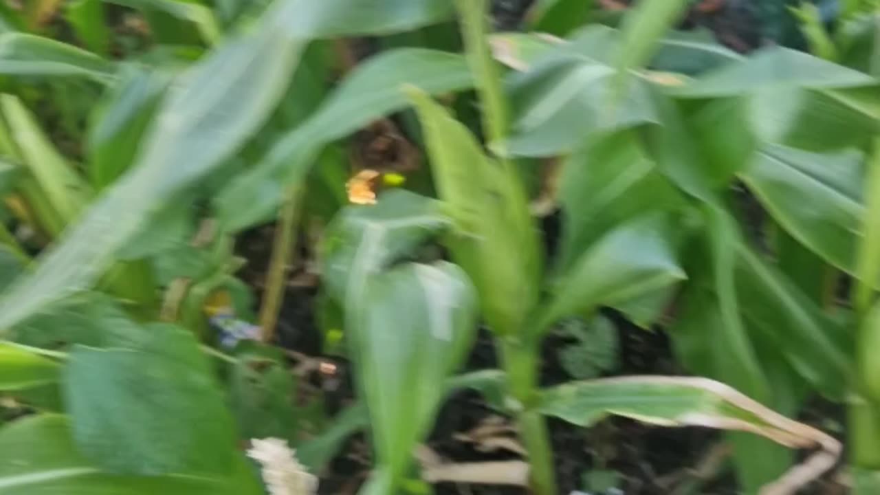 My biggest fail this year 🤦♂️