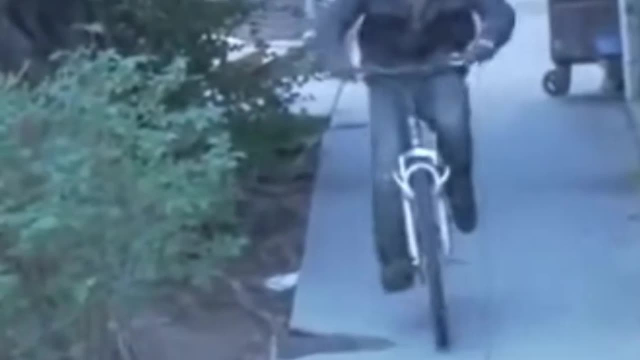 GRIZZLY BAIT BIKE GONE WRONG