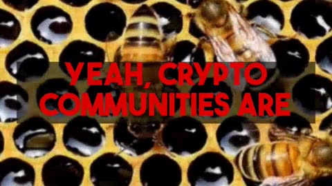 Examining Longevity For Crypto One Essential Nutrient