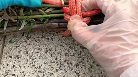 ✨👍 The 8-Second Trick That Changes Everything! | LifeHacksDaily