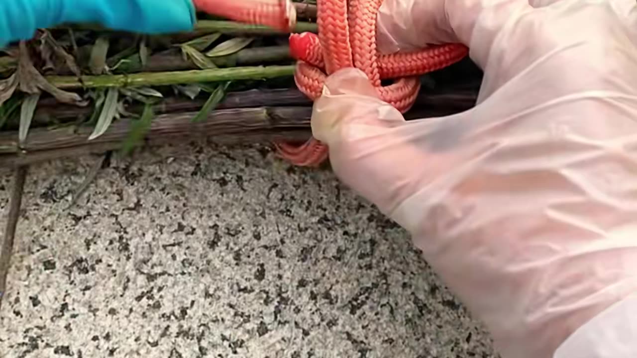 ✨👍 The 8-Second Trick That Changes Everything! | LifeHacksDaily