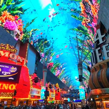 Fremont Street Las Vegas 🌊