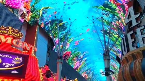 Fremont Street Las Vegas 🌊
