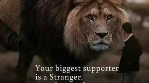 "The Paradox of Support and Criticism"