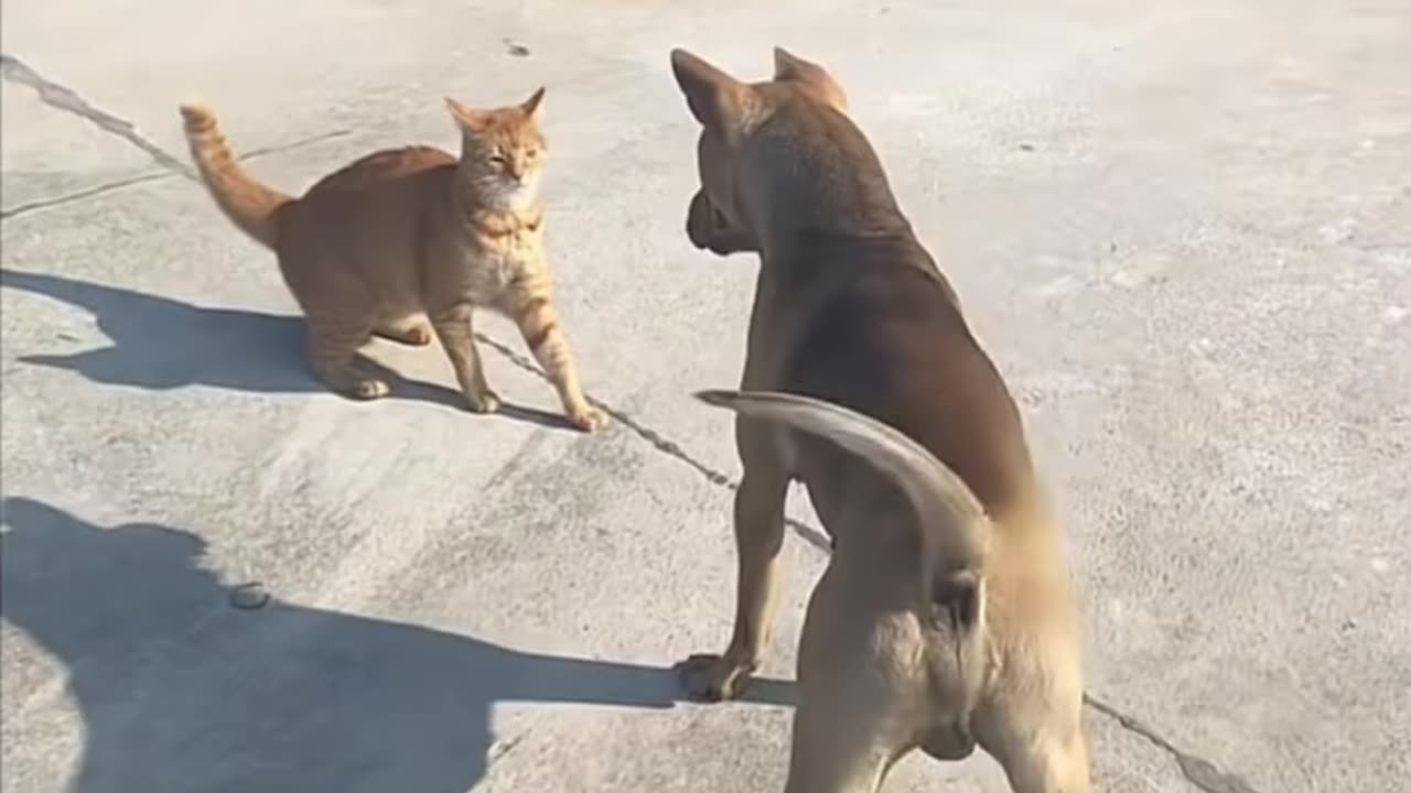 Where do you think you're going