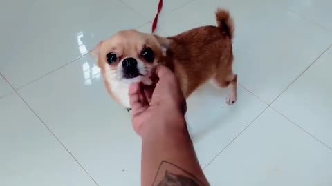😂😄 This is his Happy Face! | FunFM
