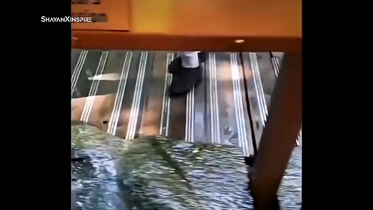 𝗖𝗼𝗻𝘀𝗶𝘀𝘁𝗲𝗻𝗰𝘆 𝗶𝘀 𝗽𝗼𝘄𝗲𝗿 ... ||