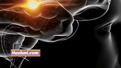 Akhrot Brain Booster Superfood