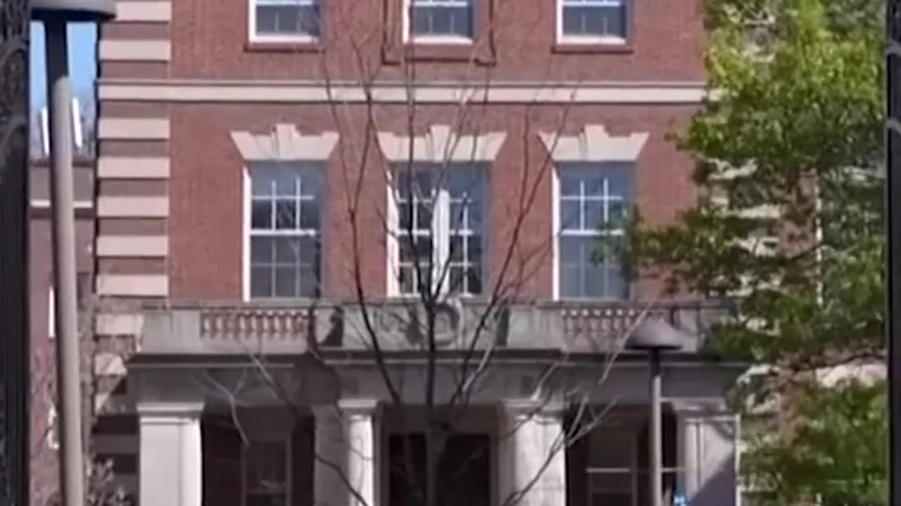 Trump bans foreign students from enrolling at Harvard University - 7NEWS Australia