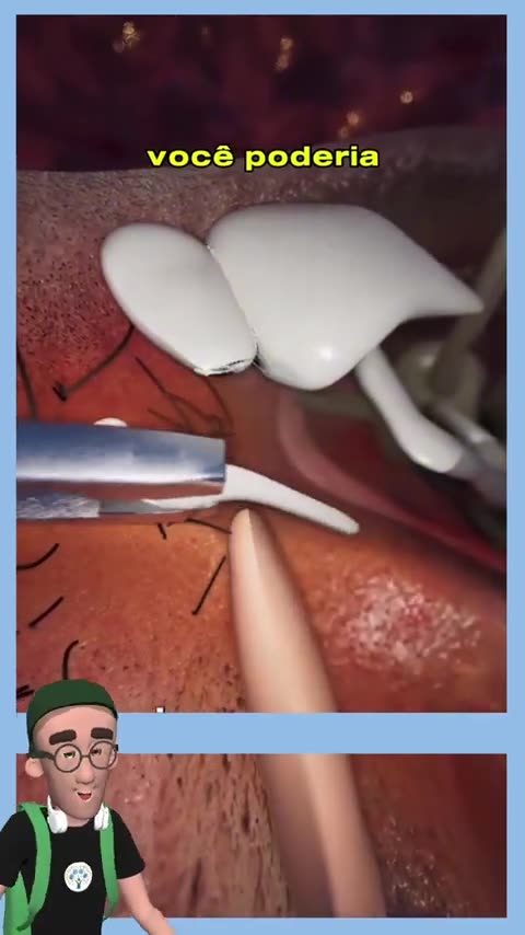 _anatomia _ossos _corpohumano _esqueleto _biologia _ciencia _vocesabia _curiosidades