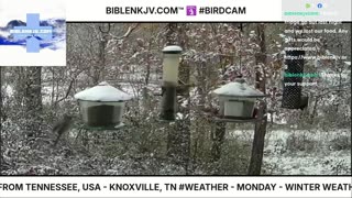 BIBLENKJV.COM™ 🛐 11/10/2025 #LIVE #BIRDCAM #WEATHER