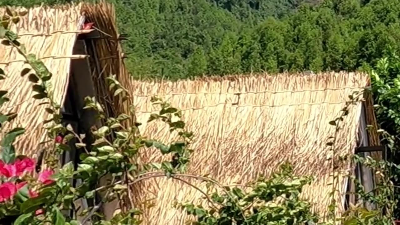 God this not a fantasy anymore, it’s coming to manifestation as time lines of 3D are merging with 5D