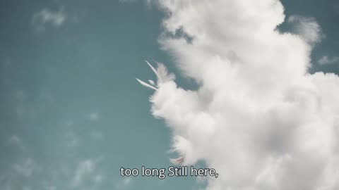 Still Here, Still Gone