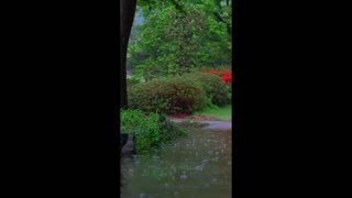 Deep Haze – where silence feels alive.