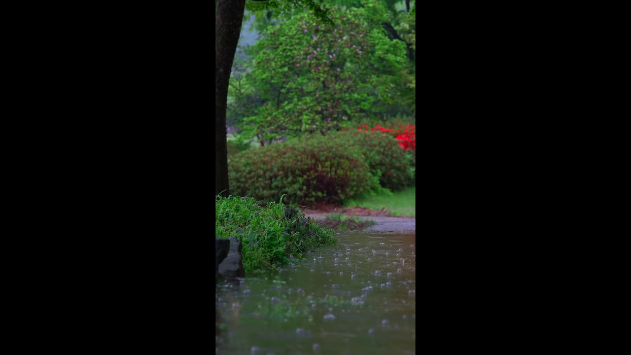 Deep Haze – where silence feels alive.