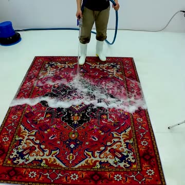 Salvaged A Beautiful Bright Red Carpet From The Landfill - Satisfying ASMR #carpetcleaning #shorts