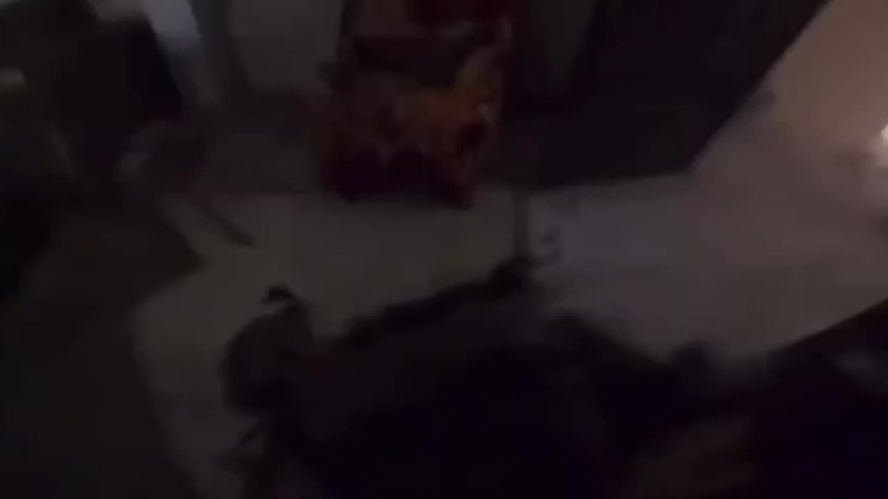 Little Clip Of IDF Infantry In A Palestinian Home