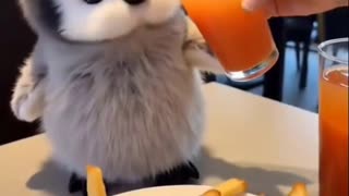 Realistic Penguin
