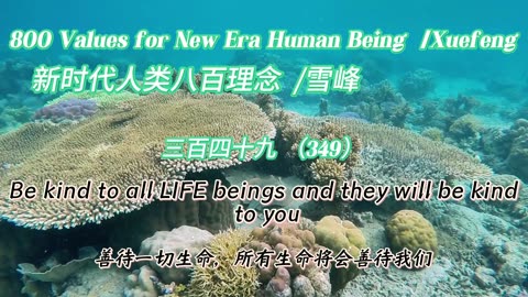 800 Values for New Era Human Being（349）