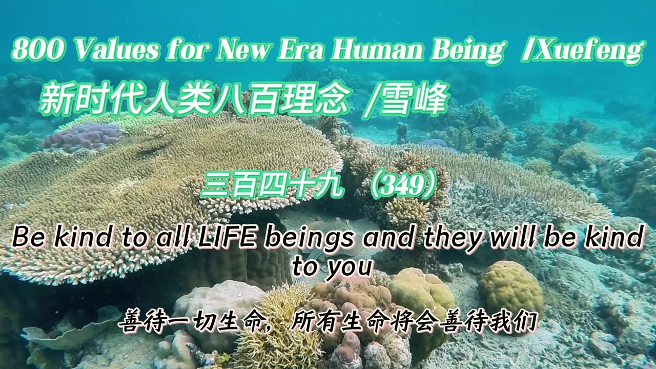 800 Values for New Era Human Being(349)