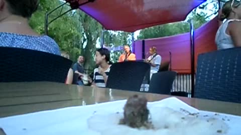 More of the wasp chowin down